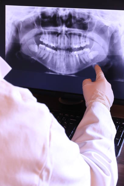 Best Emergency X-Rays and Diagnostics in Milford, IA